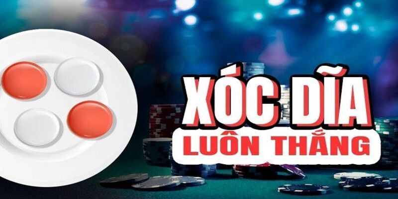 Nuôi cầu giúp dự đoán chuẩn xác